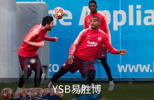 YSB易胜博介绍